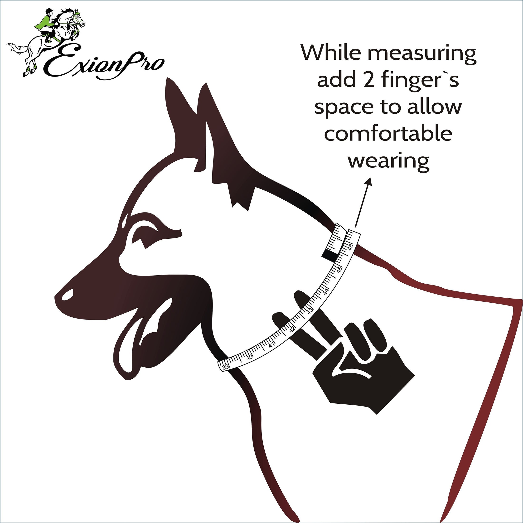 ExionPro Dark Blue Bling Dog Collar With Leash