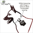 Load image into Gallery viewer, ExionPro Silver Clincher Padded Leather Dog Collar - Brown Padding
