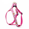 Load image into Gallery viewer, Howdy Dog Harness
