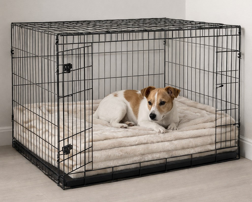 Hugo Futon