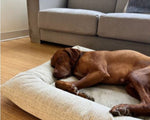 Hugo Futon Stone Grey