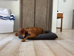 Hugo Futon Milkshake