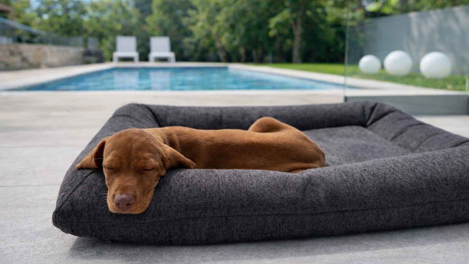 Bowsers Hugo Futon Dog Bed in silver-fox