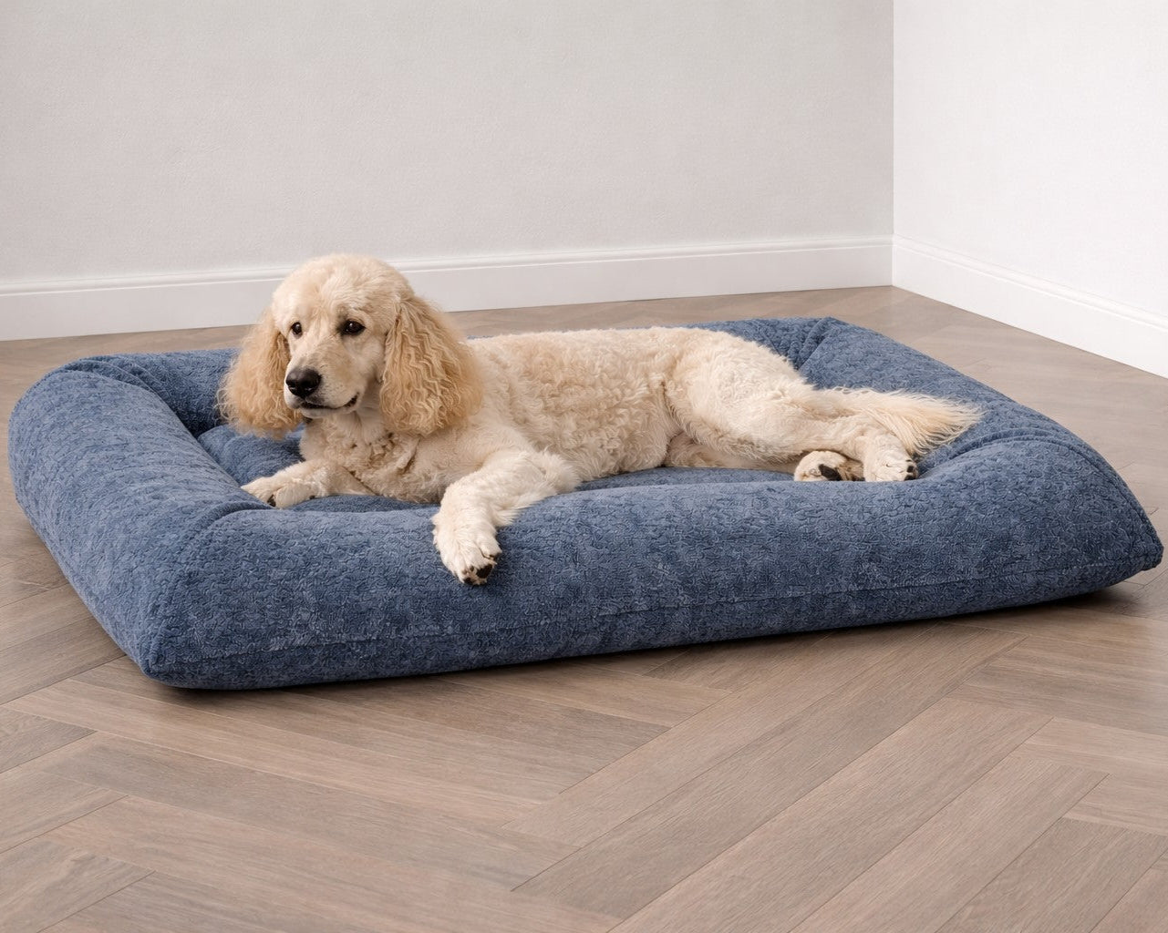 Hugo Futon