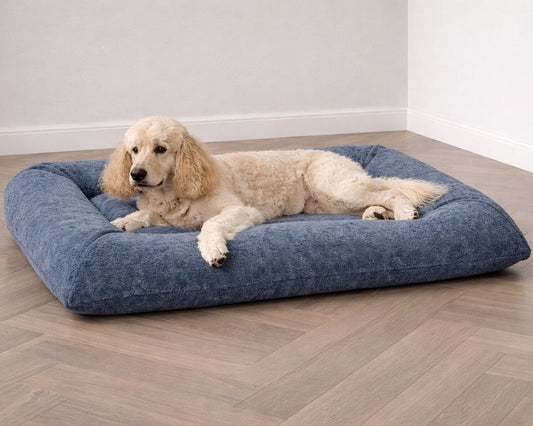 Hugo Futon