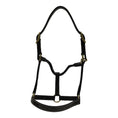 Load image into Gallery viewer, Huntley Equestrian Fancy Stitched Adjustable Premium Leather Pony Halter with Brass Hardware
