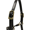 Load image into Gallery viewer, Huntley Equestrian Fancy Stitched Adjustable Premium Leather Pony Halter with Brass Hardware
