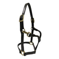 Load image into Gallery viewer, Huntley Equestrian Fancy Stitched Adjustable Premium Leather Pony Halter with Brass Hardware
