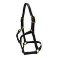 Load image into Gallery viewer, Huntley Equestrian Fancy Stitched Adjustable Premium Leather Pony Halter with Brass Hardware
