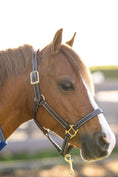 Load image into Gallery viewer, Huntley Equestrian Fancy Stitched Adjustable Premium Leather Pony Halter with Brass Hardware
