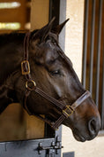 Load image into Gallery viewer, Huntley Equestrian Fancy Stitched Premium Leather Padded Halter
