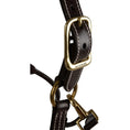 Load image into Gallery viewer, Huntley Equestrian Fancy Stitched Premium Leather Padded Halter
