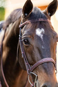 Load image into Gallery viewer, Huntley Equestrian Fancy Stitched Schooling Hunter Bridle with Reins
