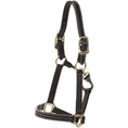 Load image into Gallery viewer, Huntley Equestrian Premium Leather Triple Stitched Halter with Snap

