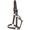 Load image into Gallery viewer, Huntley Equestrian Premium Leather Triple Stitched Halter with Snap
