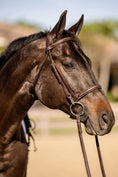 Load image into Gallery viewer, Huntley Equestrian Sedgwick Fancy Stitched Bridle with Cheek Clips and Reins
