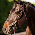 Load image into Gallery viewer, Huntley Equestrian Sedgwick Fancy Stitched Bridle with Cheek Clips and Reins
