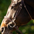 Load image into Gallery viewer, Huntley Equestrian Sedgwick Fancy Stitched Bridle with Cheek Clips and Reins
