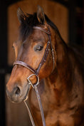 Load image into Gallery viewer, Huntley Equestrian Sedgwick Fancy Stitched Square Raised Hunter Horse Bridle with Reins
