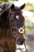 Load image into Gallery viewer, Huntley Equestrian Sedgwick Leather Padded Monocrown Figure 8 Bridle
