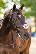 Load image into Gallery viewer, Huntley Equestrian Sedgwick Leather Padded Monocrown Figure 8 Bridle
