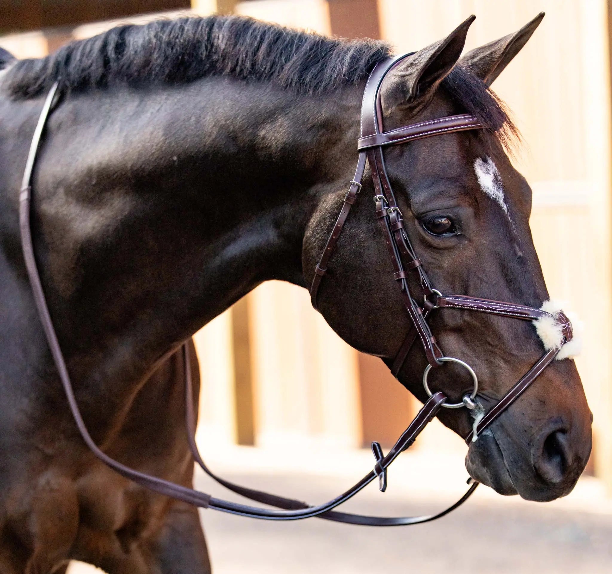 Huntley Equestrian Sedgwick Leather Padded Monocrown Figure 8 Bridle