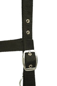 Load image into Gallery viewer, Huntley Nylon Padded Lunging Caveson, Black

