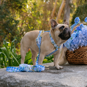 Frenchie Strap Harness - Hydrangea