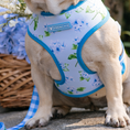 Load image into Gallery viewer, Frenchie Duo Reversible Harness - Hydrangea
