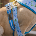 Load image into Gallery viewer, Frenchie Duo Reversible Harness - Hydrangea
