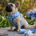 Load image into Gallery viewer, Frenchie Duo Reversible Harness - Hydrangea
