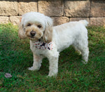I love Baseball! Dog Bandana