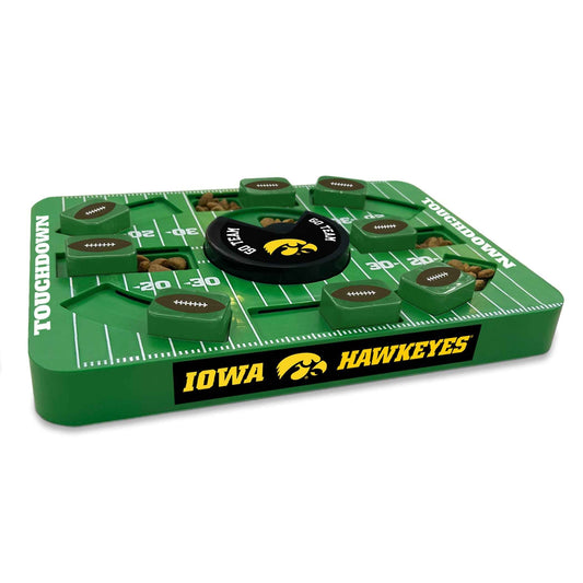 Iowa Large Puzzle Toy