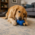 Load image into Gallery viewer, Double Trouble Dog Toy - Dual Chamber Treat Dispenser for Large Dogs | USA Made

