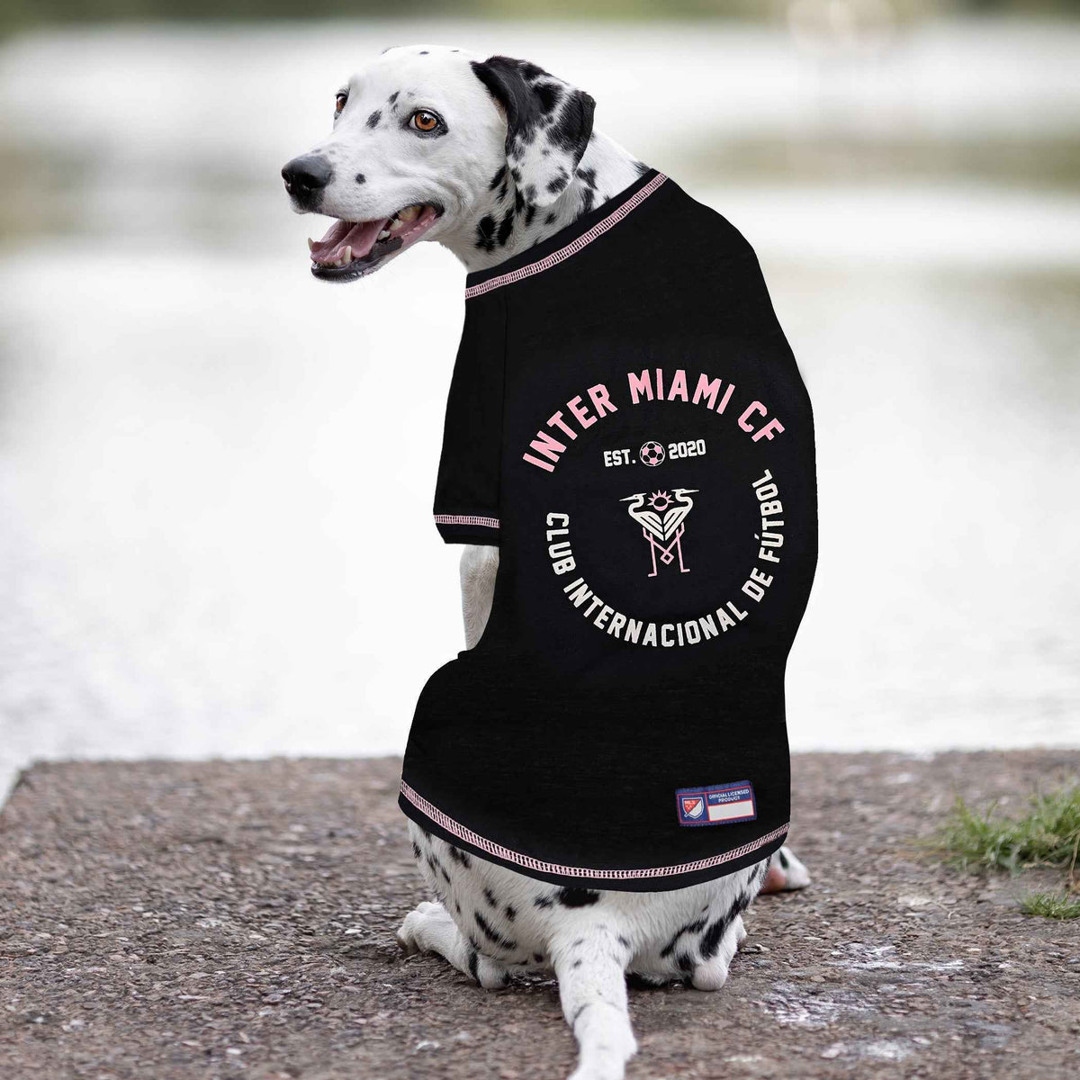 MLS Inter Miami Club de Foot Dog T-Shirt