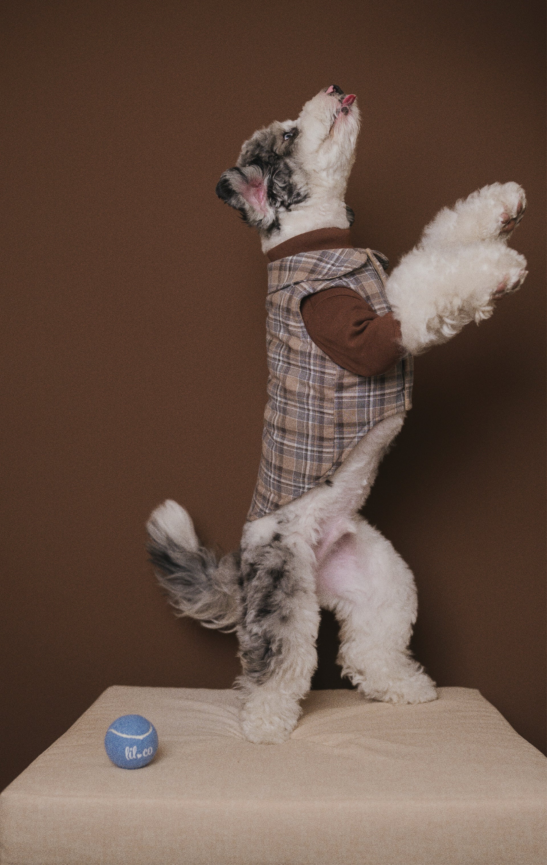 Roux Vest