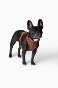 Load image into Gallery viewer, Harness - Southlake Paws
