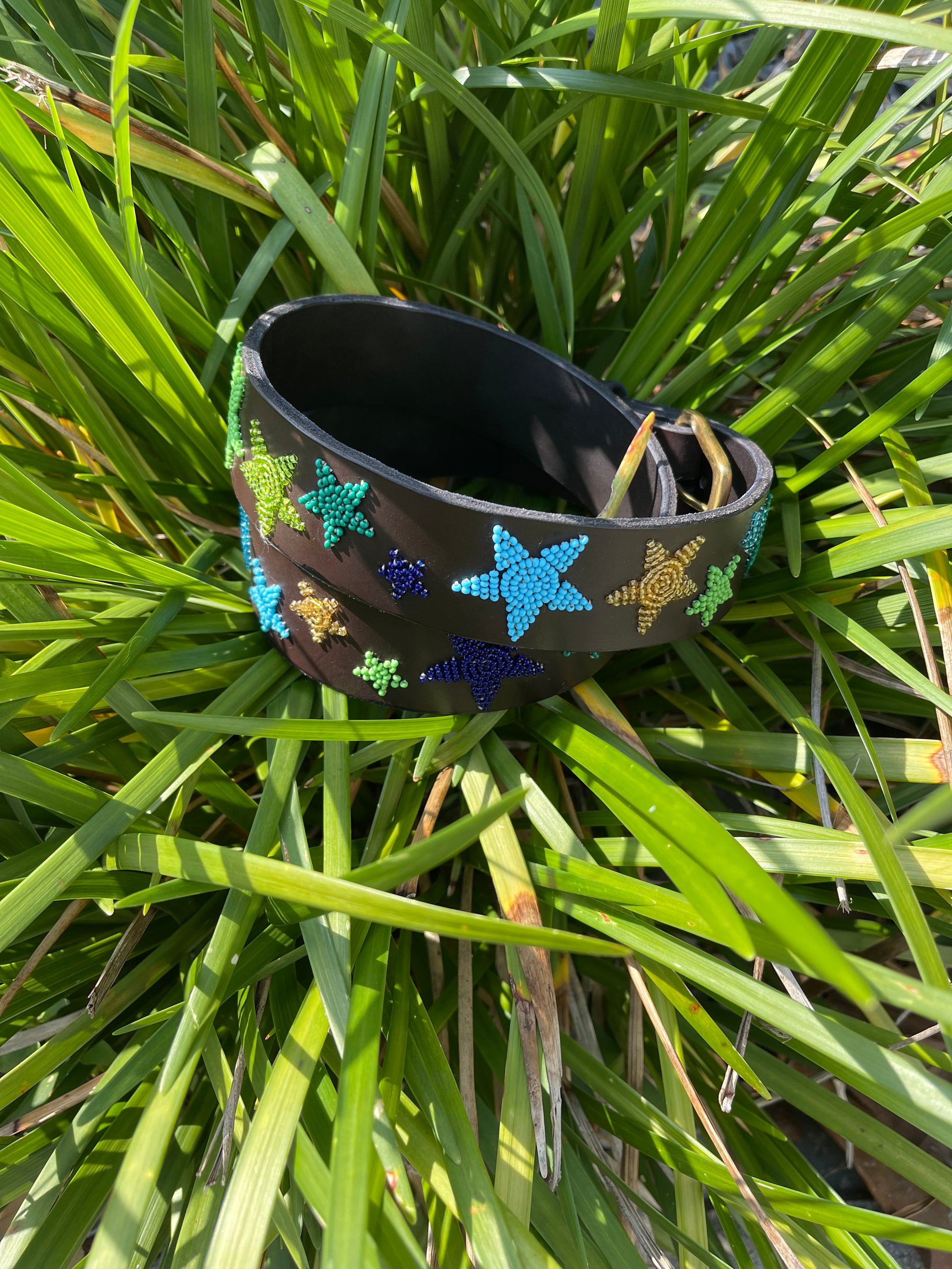 TKC Peacock Stars Belt - Wide Width