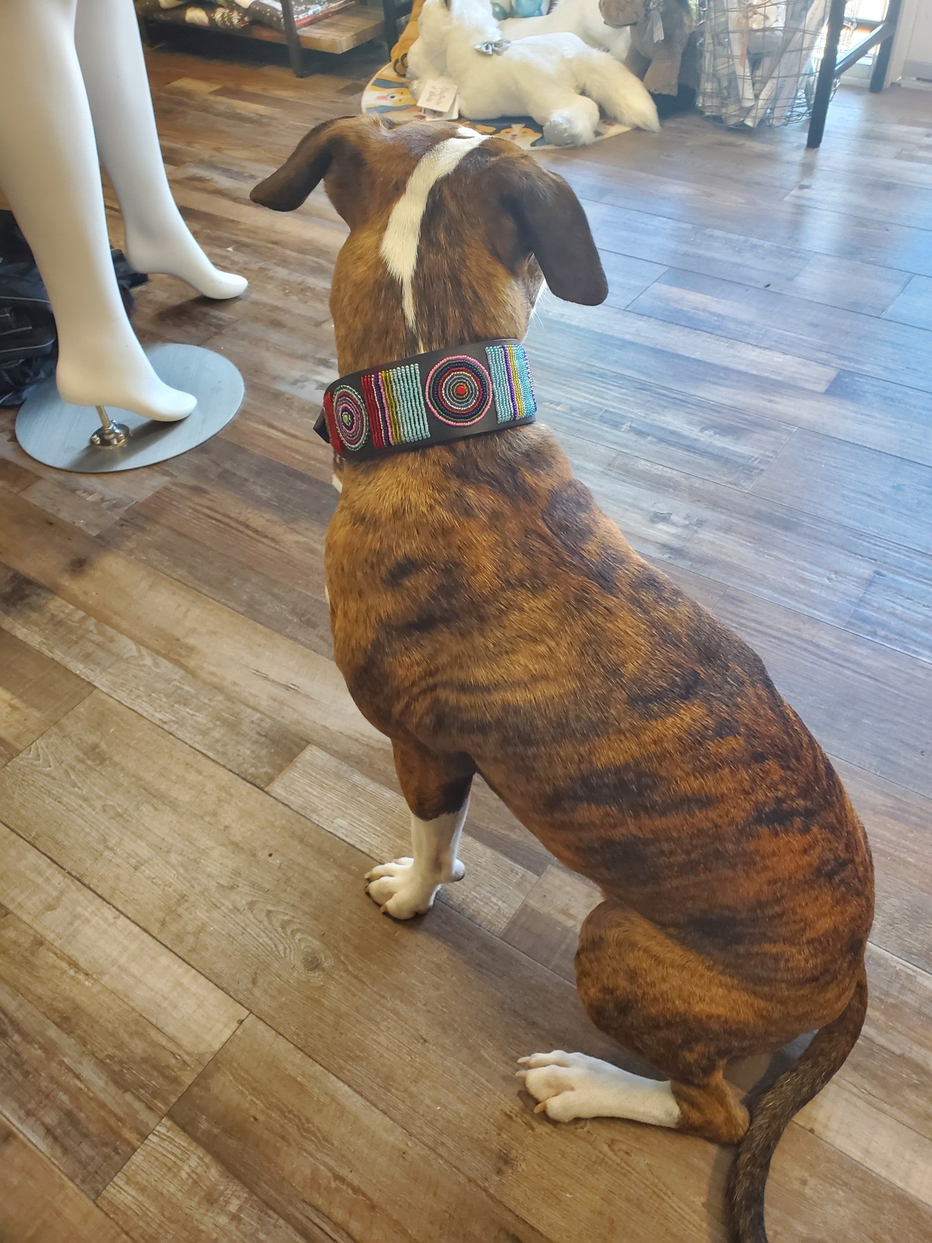TKC Bijou Beaded Dog Collar