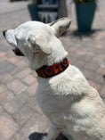 Load image into Gallery viewer, TKC Marula Beaded Dog Collar
