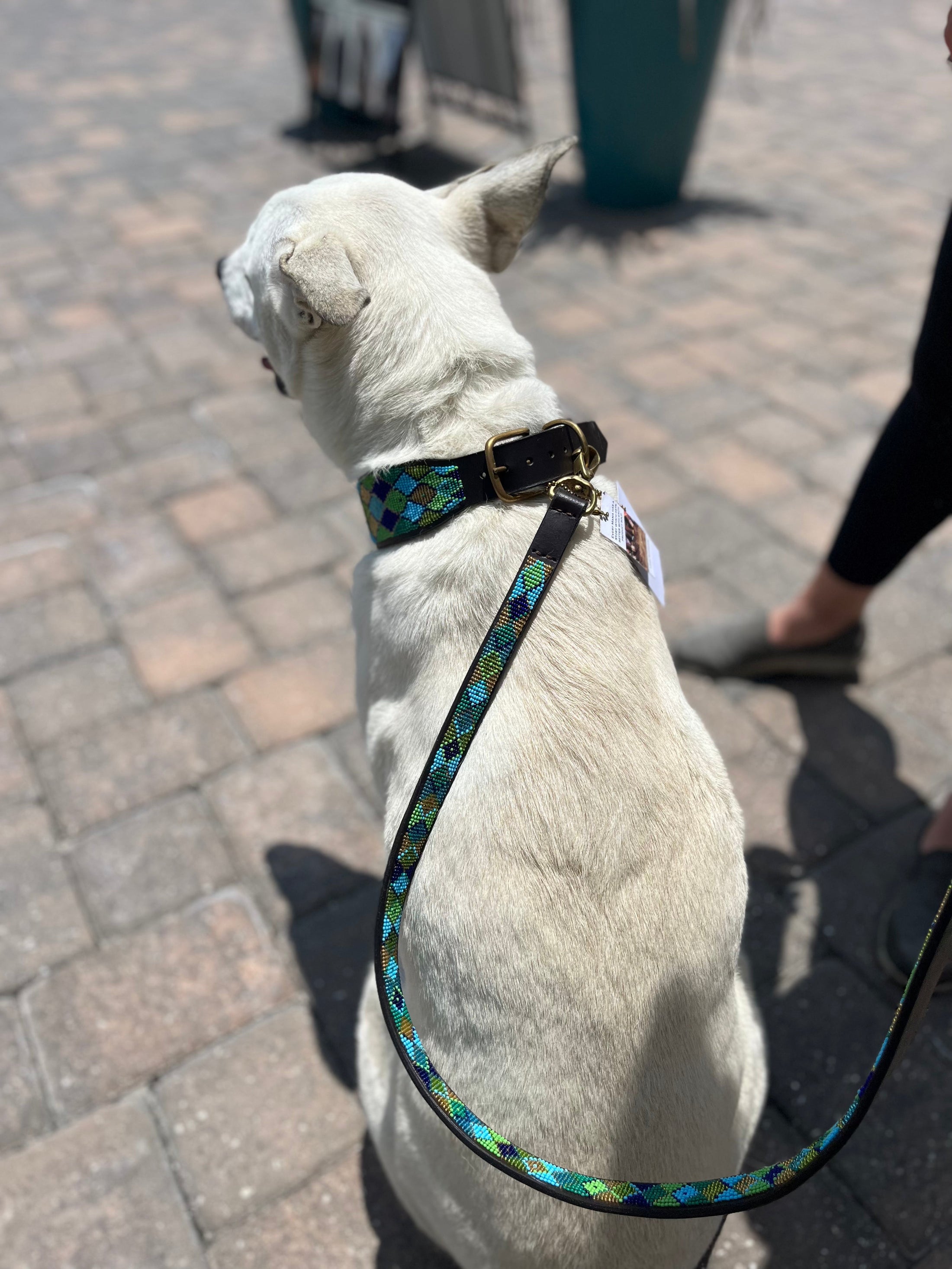 TKC Peacock Argyle Beaded Dog Lead