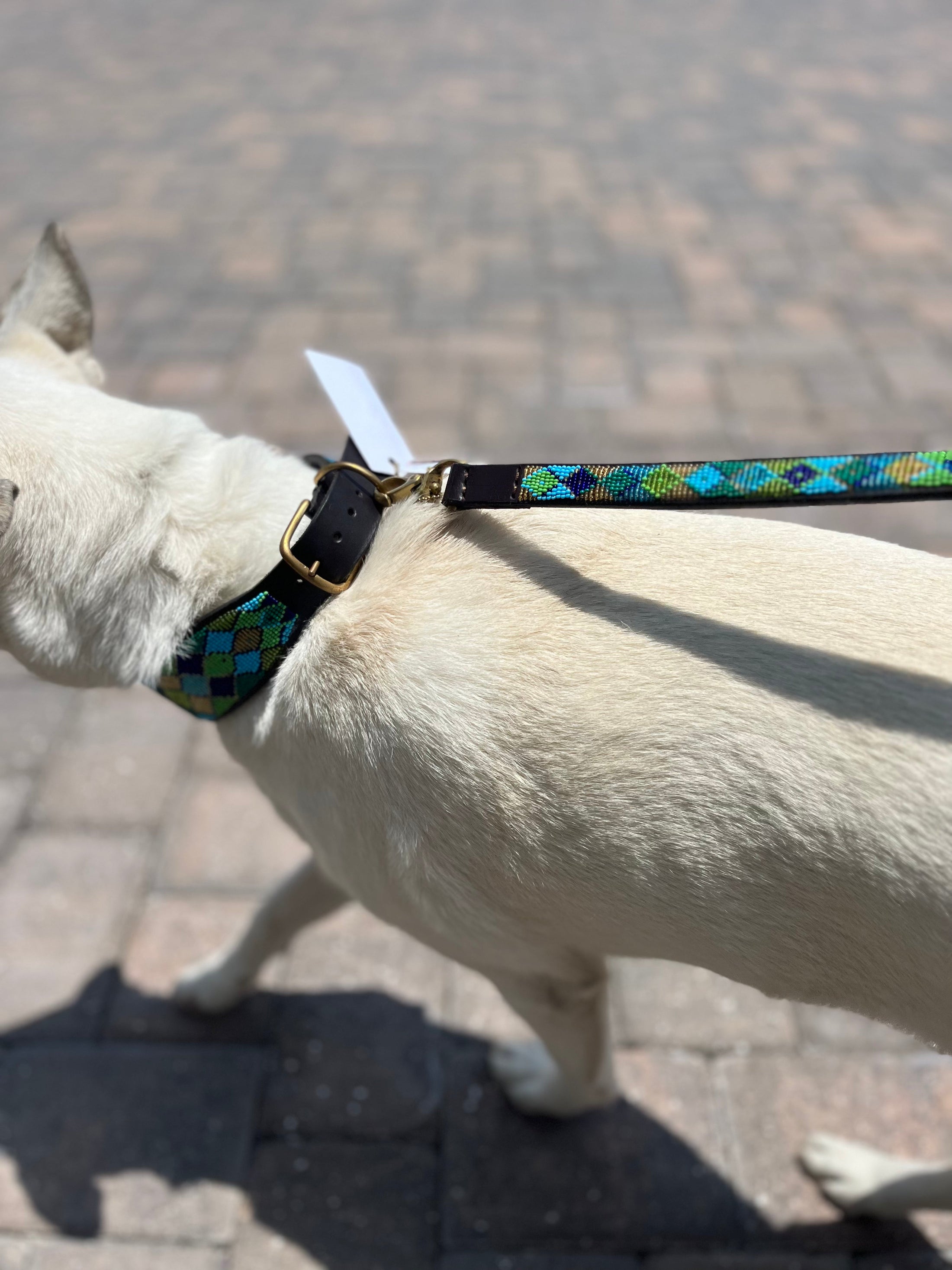 TKC Peacock Argyle Beaded Dog Lead