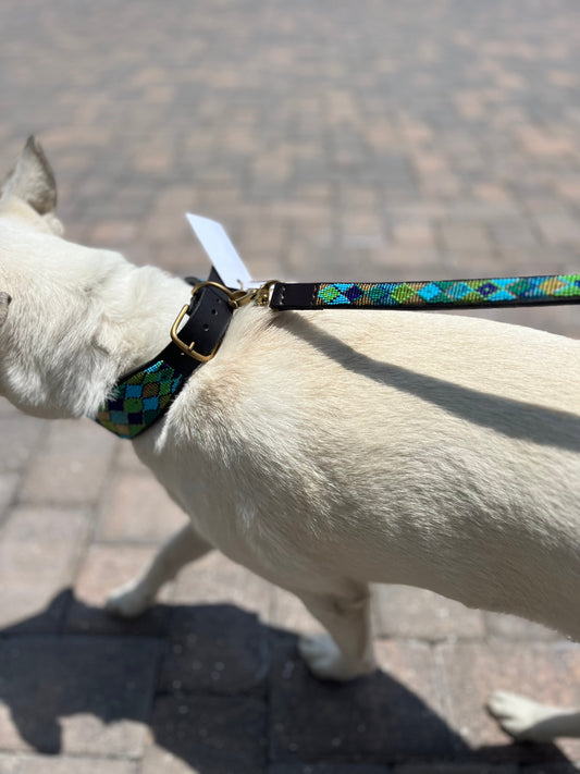 TKC Peacock Argyle Beaded Dog Lead