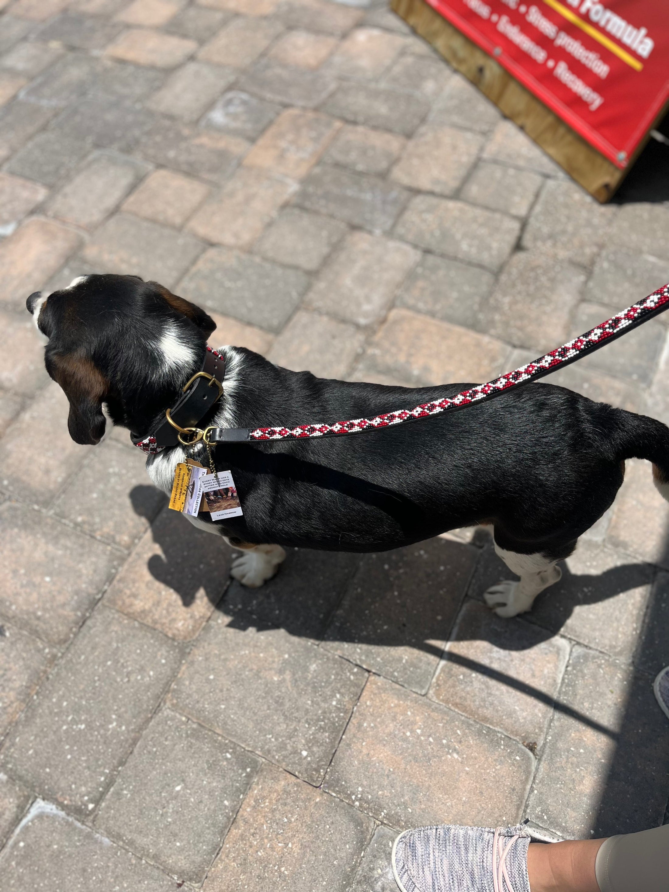 TKC Maasai Shield Argyle Beaded Dog Lead