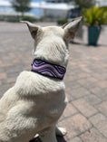 Load image into Gallery viewer, TKC The Purple Wave Beaded Dog Collar
