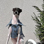 Personalized Bespoke Striped Denim Trucker Dog Coat