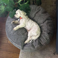 Load image into Gallery viewer, 30 Inch Forever Dog Bed (Waterproof) - Terry Corduroy
