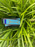 Load image into Gallery viewer, TKC Peacock Bits Belt by Southlake Paws featuring a wide width design and silver buckle, placed among green grass.
