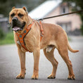 Load image into Gallery viewer, The "Maximus" Dogs and pets silver harness
