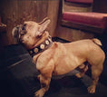 Load image into Gallery viewer, The "Bijou" collar orange
